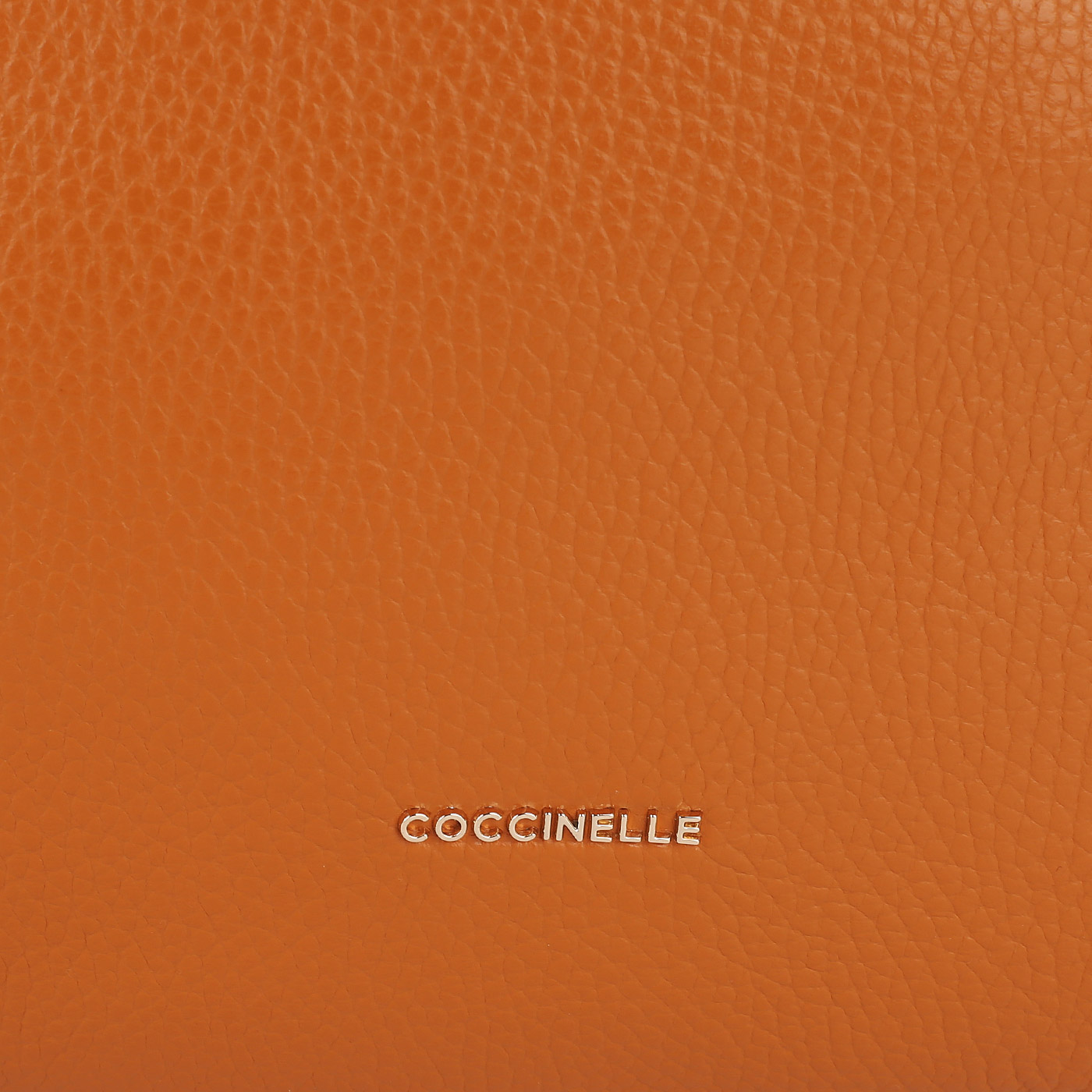 Кожаный рюкзак Coccinelle CoccinelleGleen