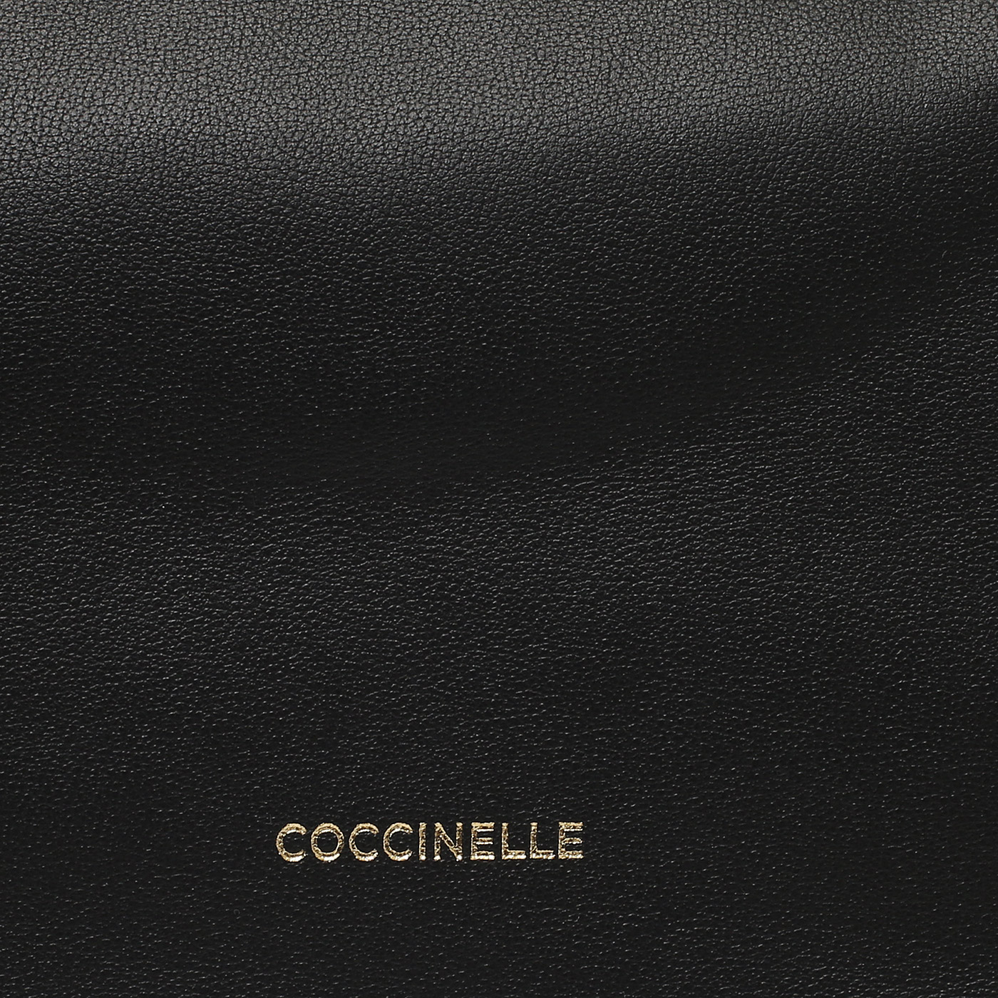 Кожаная сумка Coccinelle CoccinelleLisbet